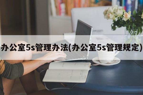 办公室5s管理办法(办公室5s管理规定)